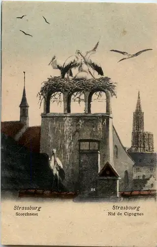 Strasbourg - Storchnest -59034