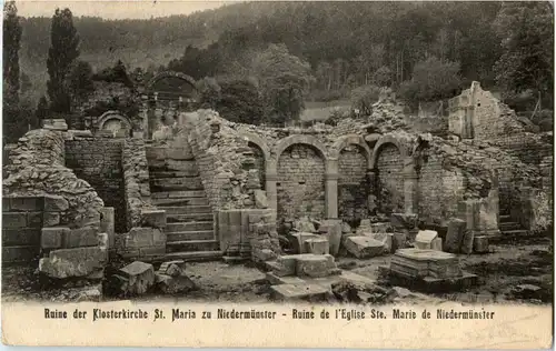 Niedermünster - Ruine der Klosterkirche -59740