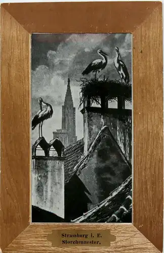 Strassburg - Storchennest -58912