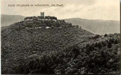 Ruine Pflixburg im Münstertal -59940