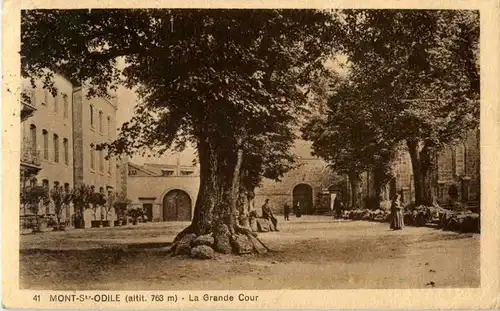 Mont Ste Odile -59868