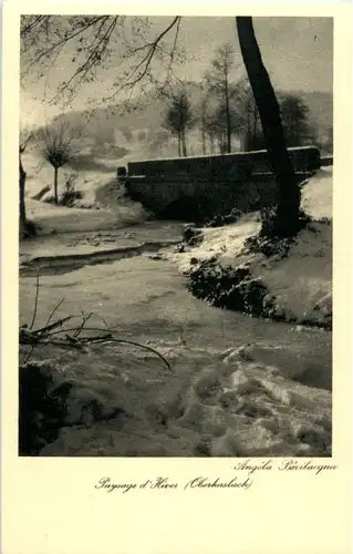 Paysage d Hiver -59842