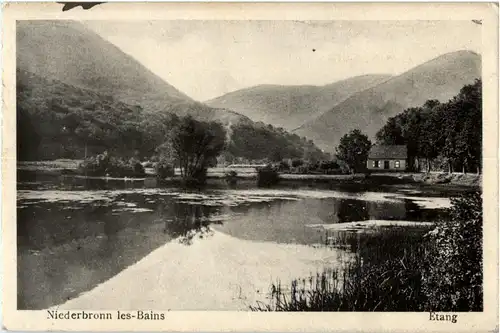 Niederbronn - Etang -59774