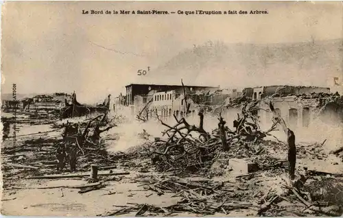 La Bord de la Mer a Saint Pierre - Eruption a fait des Arbres -42970