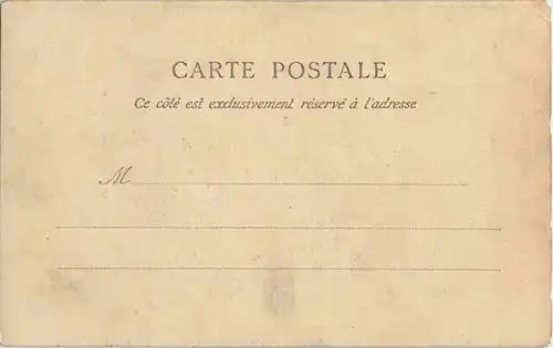 La Bord de la Mer a Saint Pierre - Eruption a fait des Arbres -42970