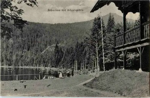 Arbersee mit Arberspitze -61210