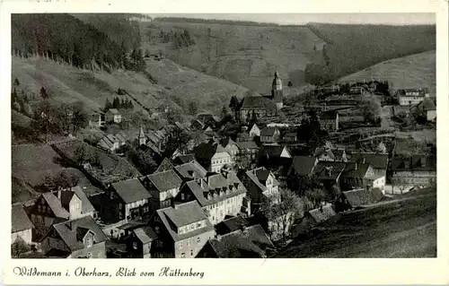 Wildemann im Oberharz -61734