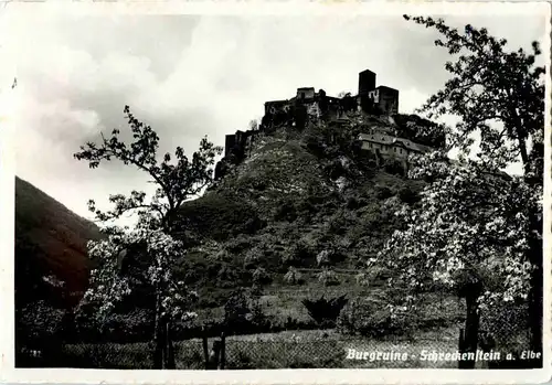 Burgruine Schreckenstein a. Elbe -61894