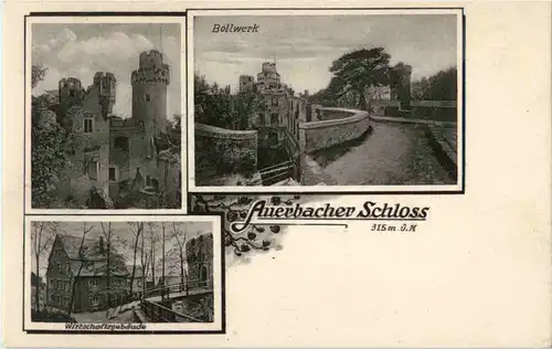 Auerbacher Schloss -61232