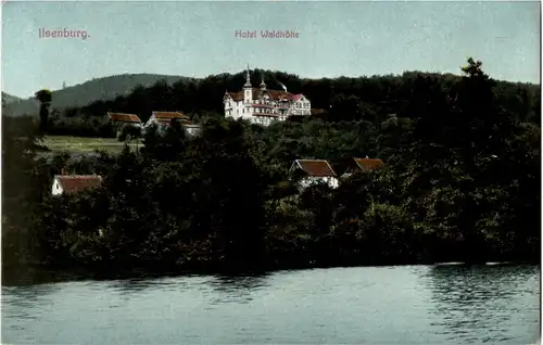 Ilsenburg - Hotel Waldhöhe -61738