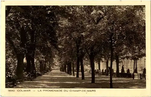 Colmar - Champ de Mars -63594