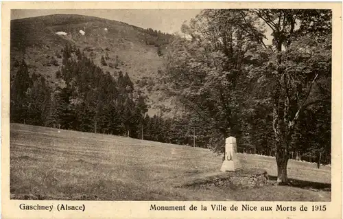 Gaschney -64026