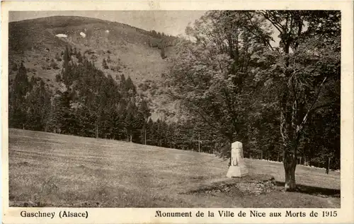 Gaschney - Monument de la Ville -64022