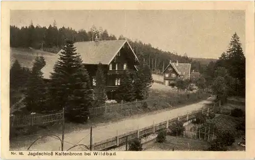 Jagdschloss Kaltenbronn bei Wildbad -61552