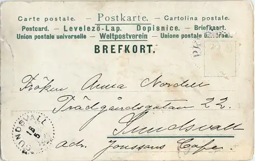 Kochen - Humor -61832