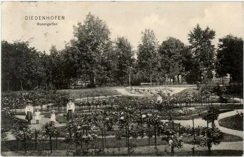 Diedenhofen - Rosengarten -63704