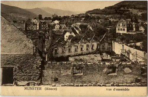 Munster -64626