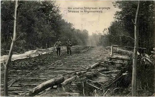 Von Feldgrauen angelegte Strasse im Argonnenwald -62642