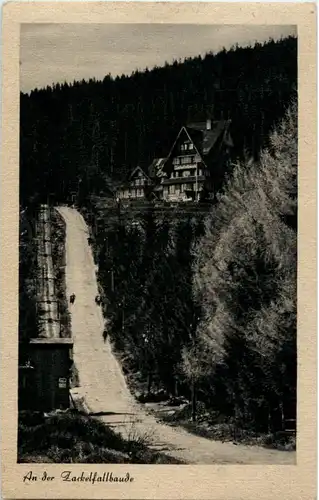 Zackelfallbaude -65070