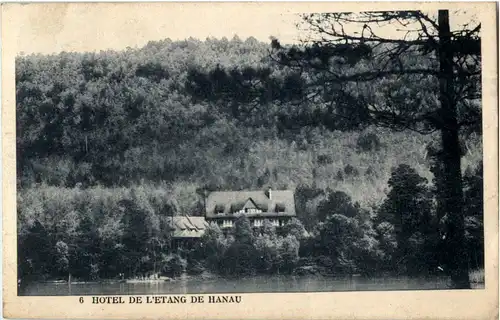 Hotel de l Etang de Hanau -64136