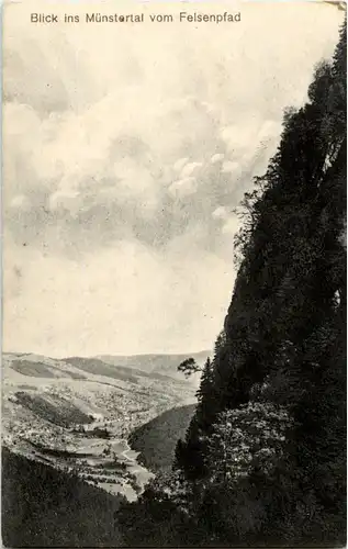 Münstertal vom Felsenpfad -64680