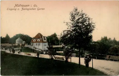 Mulhouse - Zoologischer Garten -64556