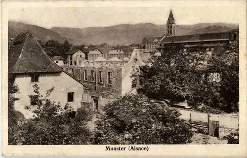 Munster -64628