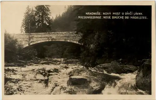 Neue Brücke bei Mädelsteg -66308