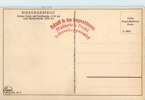 Kleiner Teich -65194