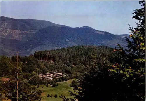 Lalaye Centre de Plein -64410