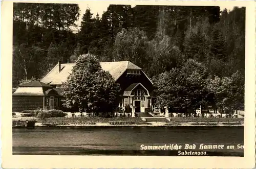 Bad Hammer am See -66130