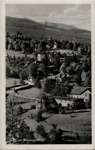 Hain im Riesengebirge -65286