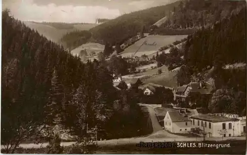 Görbersdorf - Blitzengrund -65008