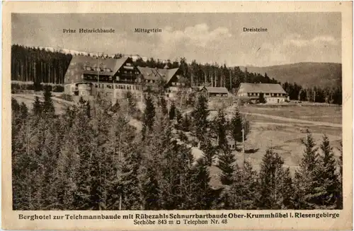 Berghotel zur Teichmannbaude - Ober Krummhübel -66942