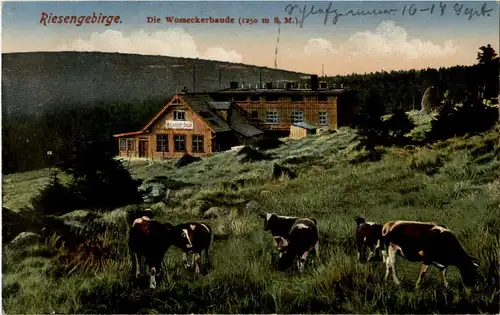 Wosseckerbaude - Riesengebirge -66412