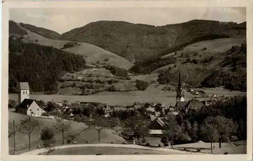 Schönau im Schwarzwald -67866