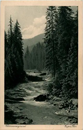 Weisswassergrund -66280