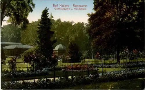 Bad Kudowa - Rosengarten -67028