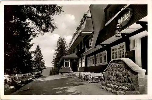 Feldberg im Schwarzwald -68146