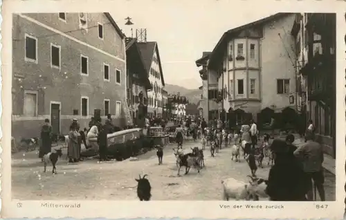 Mittenwald - Von der Weide zurück -69006