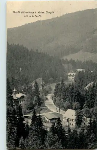 Wald Bärenburg -69146