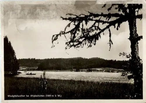 Windgfällweiher bei Alglashütten -68198