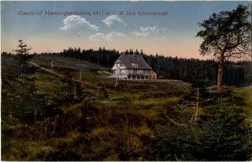 Gasthof Herzogenhorn -68428