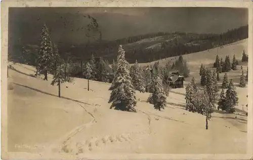 Feldberg - Hebelhof -68508