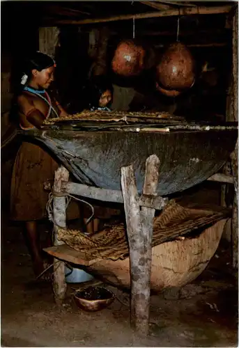 Brasil Nativo -67534