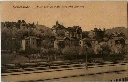 Cossebaude - Blick vom Bahnhof -69030