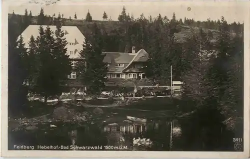 Feldberg- Hebelhof -68254