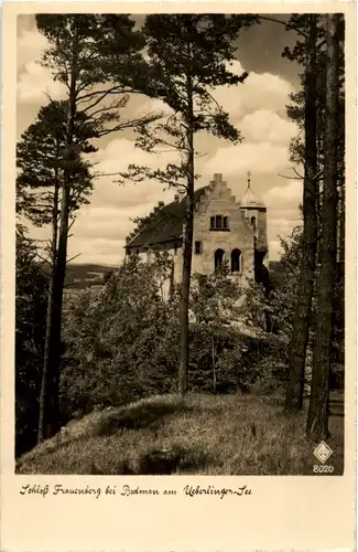 Schloss Frauenberg bei Bodman -69298