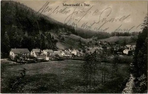 Schwarzwald in Thüringen -69368