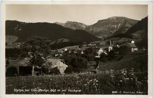 Oberstaufen, Allgäu, Steibis mit Hochgrat -340642